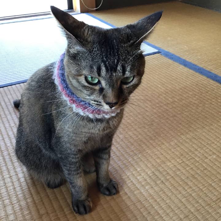 3b1404ab 81f0 48da 9735 cb267212860f 1627085658370