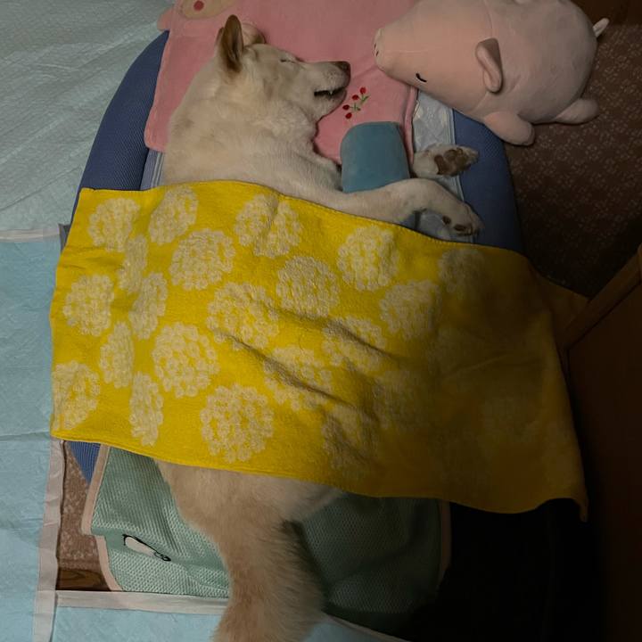 3b140a65 b72b 46e8 b698 5b8db977dc0b 1634139653183