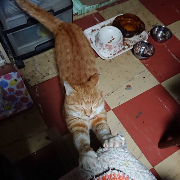 3b141142 e636 4bdd 9abf 4e726fd4a004 1570996583103