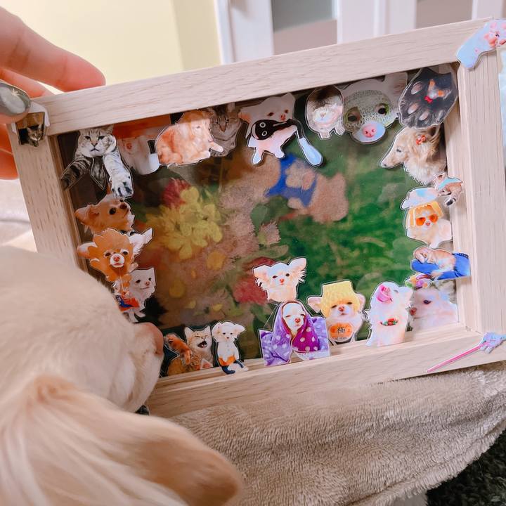 3b1432b0 c2e9 4f81 9b4f 1fa63ba61b71 1655200128106