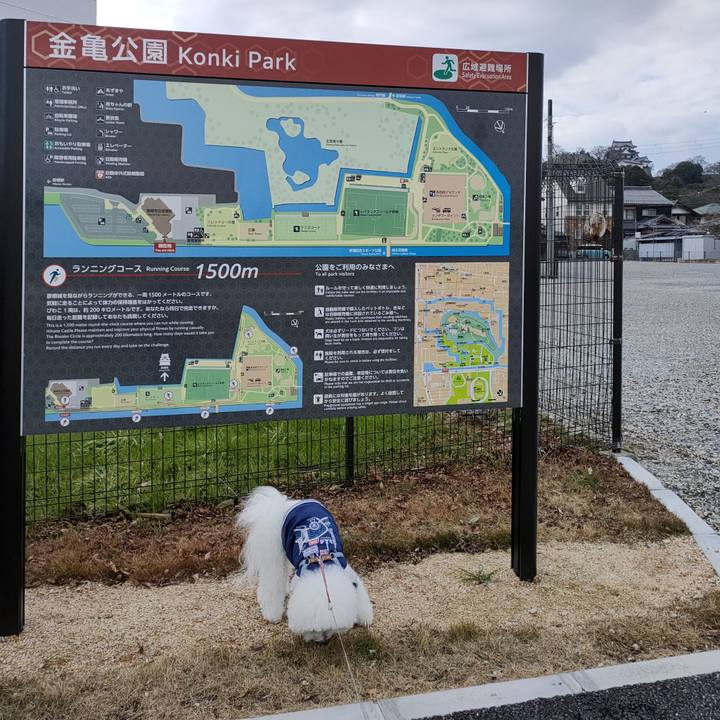 3b143af8 78e9 47c8 84d2 710b66ce5f58 1767513878502