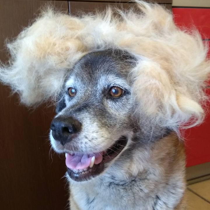 3b143b50 c5e7 4c60 9cac 09c2cad3afbf 1674956352646