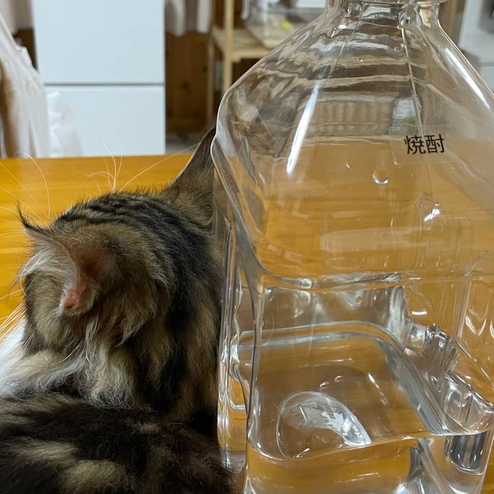 3b145017 b193 4721 ab51 54d734ace9ff 1633610711787