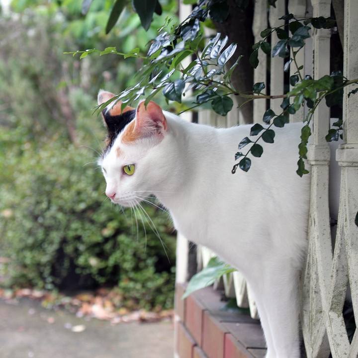 3b14688f f1da 42c7 86d5 e48f620ad868 1598916551249