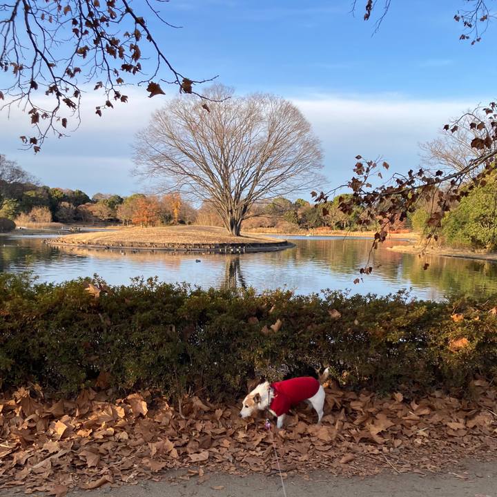 3b1485b7 9a9a 48c1 a6a8 90590155267e 1734830028589