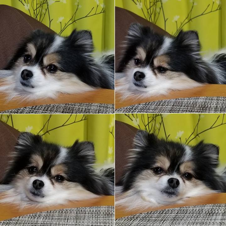 3b149f04 b470 4a28 9e52 bc4e59603d8b 1579252835289