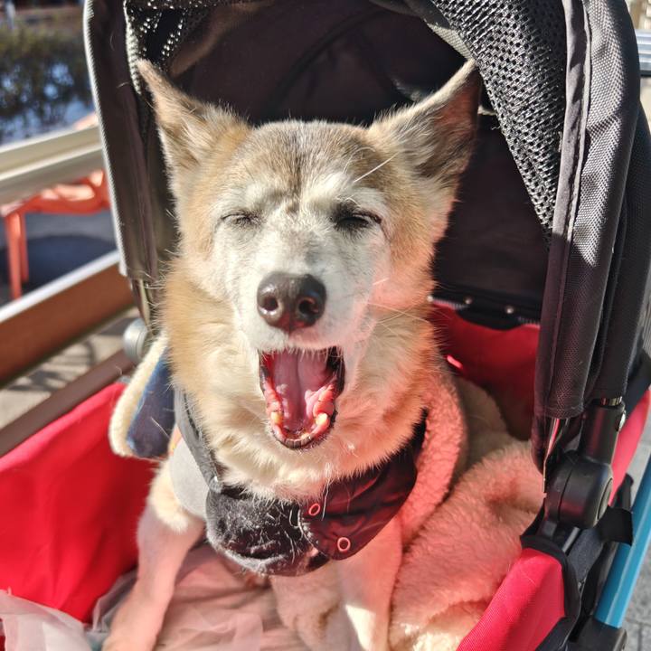 3b14a1ff 426c 4858 8693 33f9fad2c61a 1767517134104