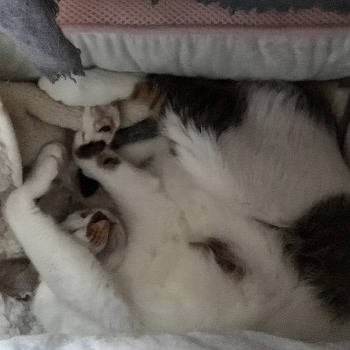 3b14b1b7 3547 4c95 a97d b8bda85be386 1538200650830