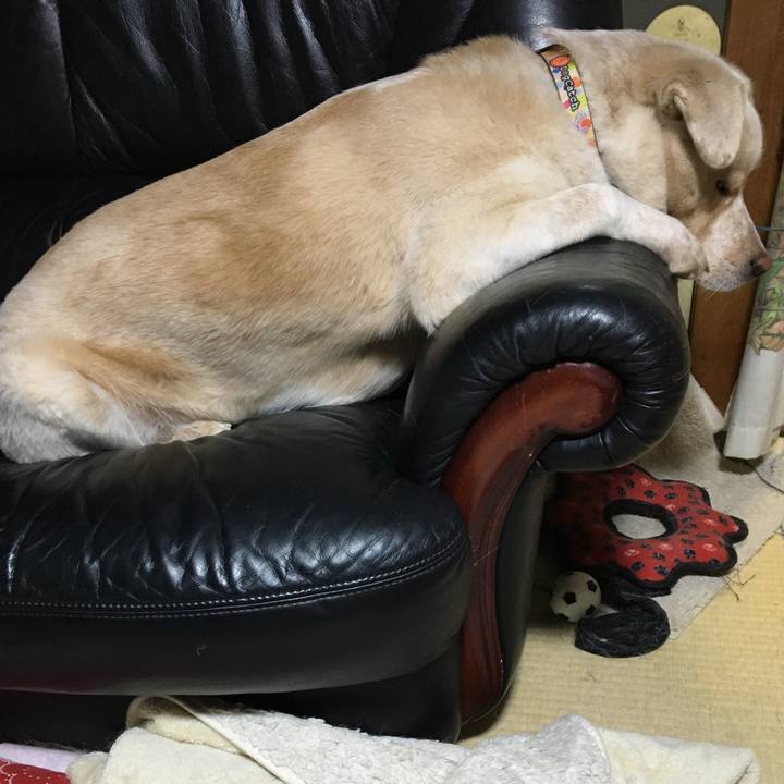 3b14cd4a ee58 474b b4f4 cbae2e2a975e 1516433645716