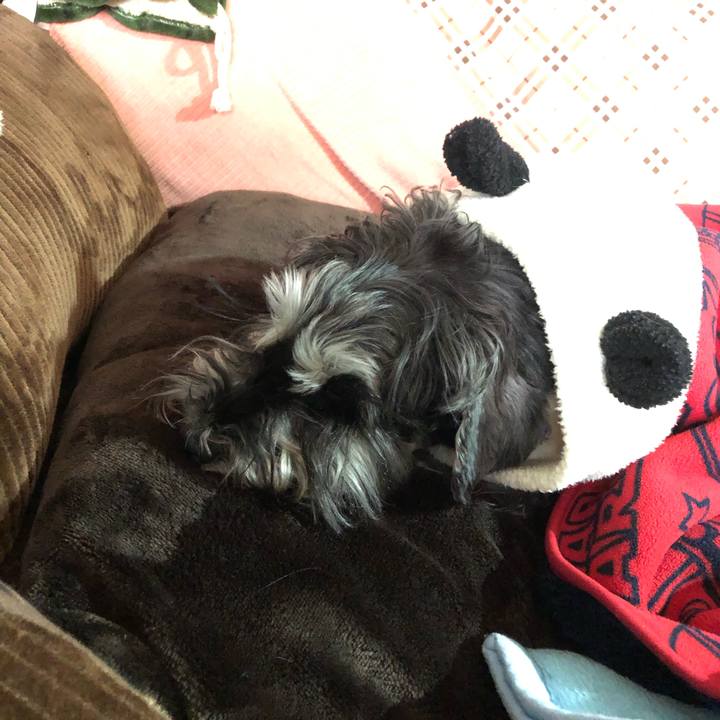 3b14f986 78fd 47d2 ae54 6e5ffb0a1d6a 1616906486536