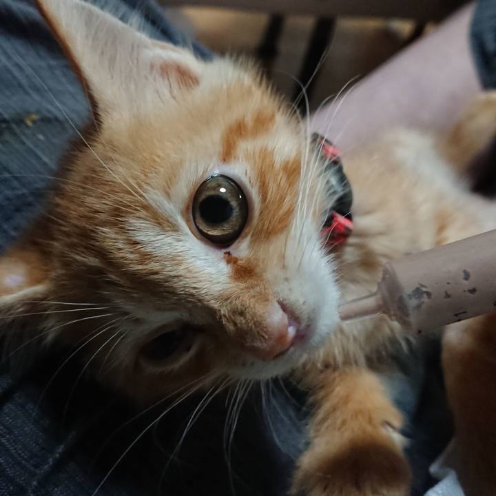 3b151d07 c218 4002 bd89 3dfec89b642e 1628720584675