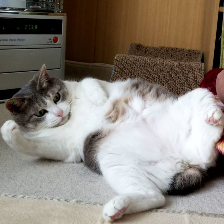 3b15212d 11a1 446f a84b dc2cec7bd76a 1677110227624