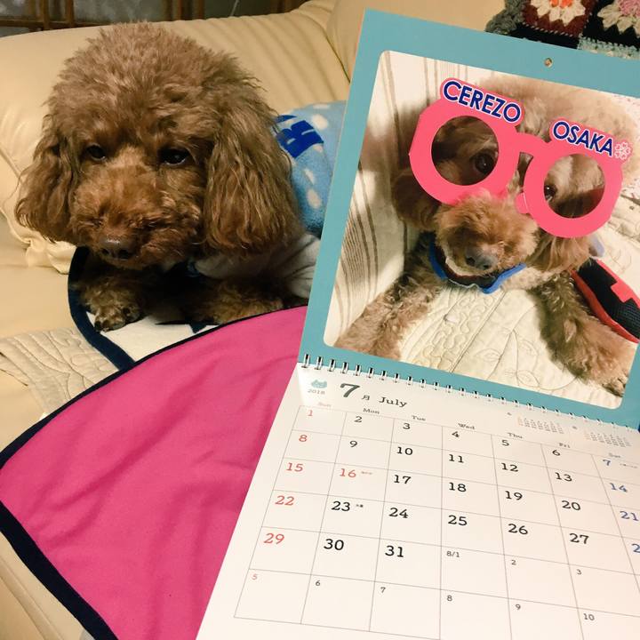 3b15b605 187f 43cd a839 d21a0125aa2f 1514358198855