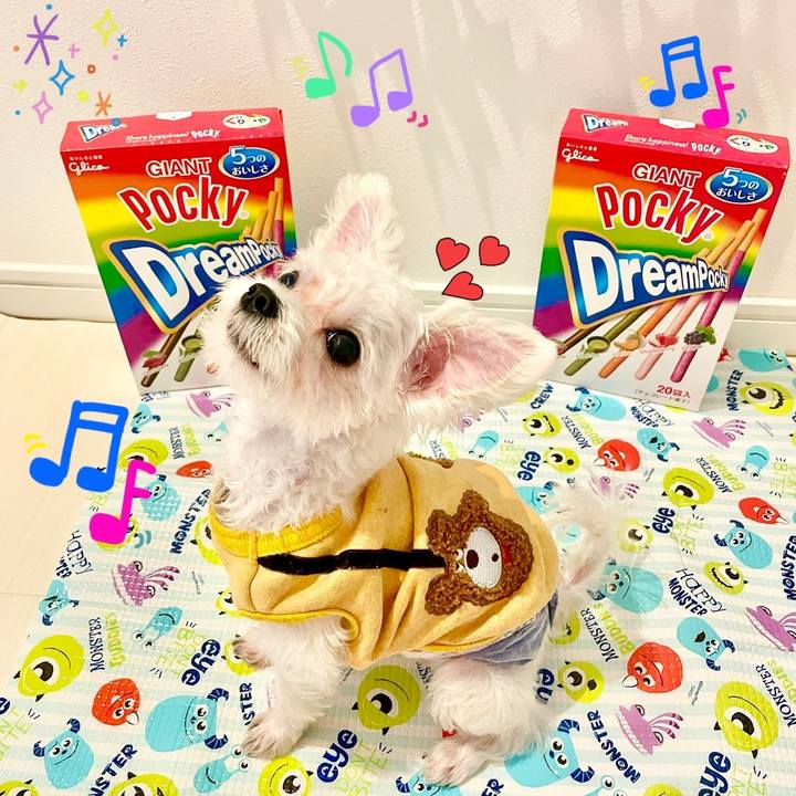 3b160a35 e349 4028 bdab 3c9ef59751a9 1636609926117