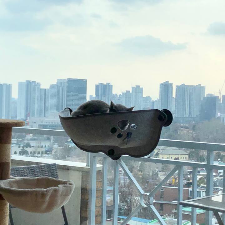 3b161b8f 1ebf 4a06 85e5 efda5eede8fa 1615706357269