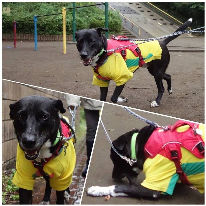 3b162335 d4f4 4994 bde3 c31dc71497c3 1634860315977