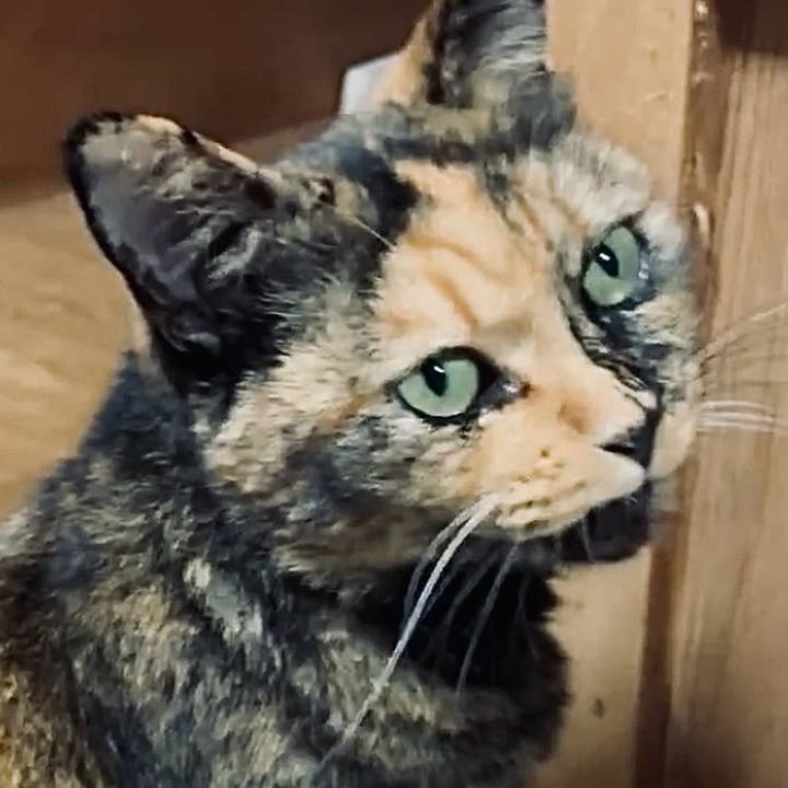 3b162c2a 11b8 408b 800c d5a23040dc49 1758537758615