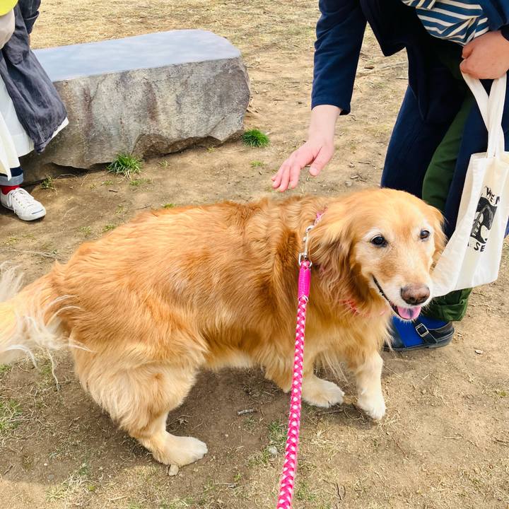 3b163a19 26b5 4951 8d1f 81d2a9c481d3 1744131571566