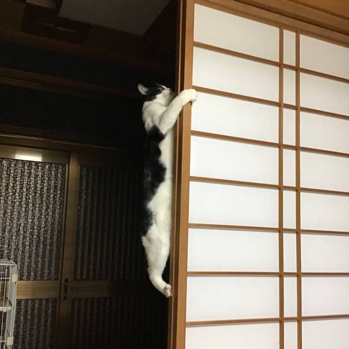 3b1649b9 307a 422d bcb0 f8532d66a266 1641717187135