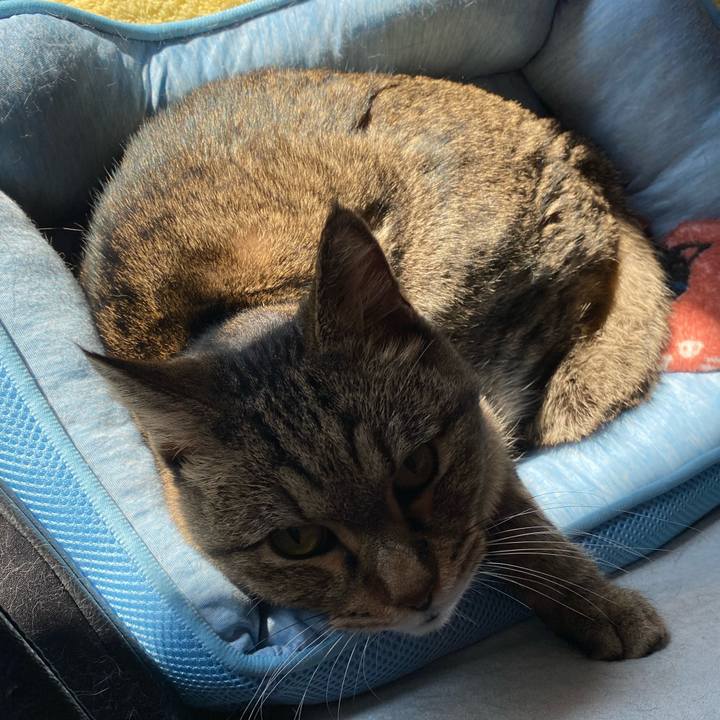 3b164e8b 9bea 4109 9705 5d4c1df915ca 1764995572522