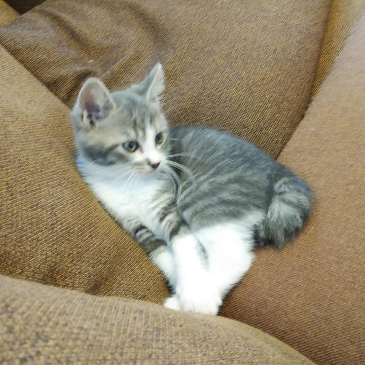 3b1658b8 5c86 48ba a095 d4b1b903aded 1654812899340