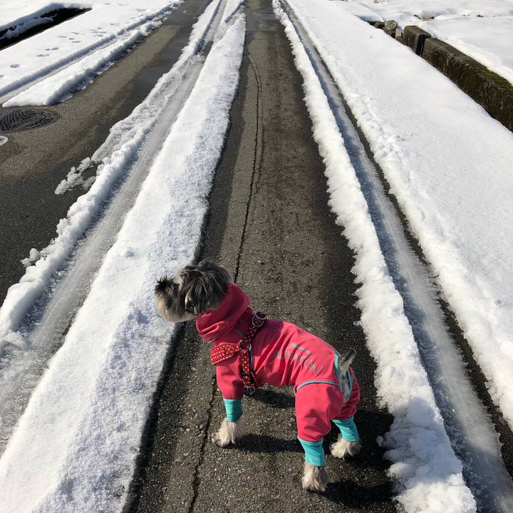 3b16a2b8 406b 41e2 9461 79051c12b530 1548567310297