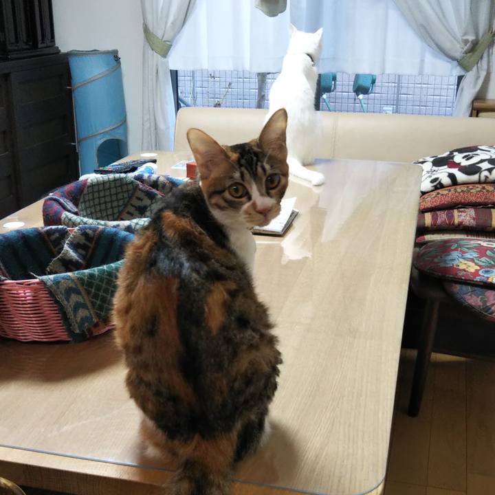 3b16ab9f 3108 40f2 a6c2 6c3ba5c53d14 1640909088914