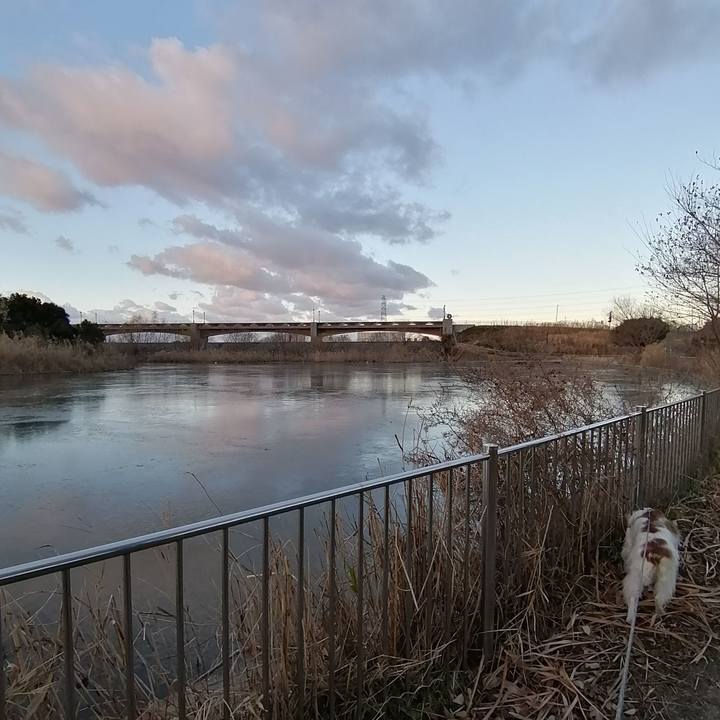 3b16b4bf d8e2 49c4 a7b9 5388de67a05a 1610066201472