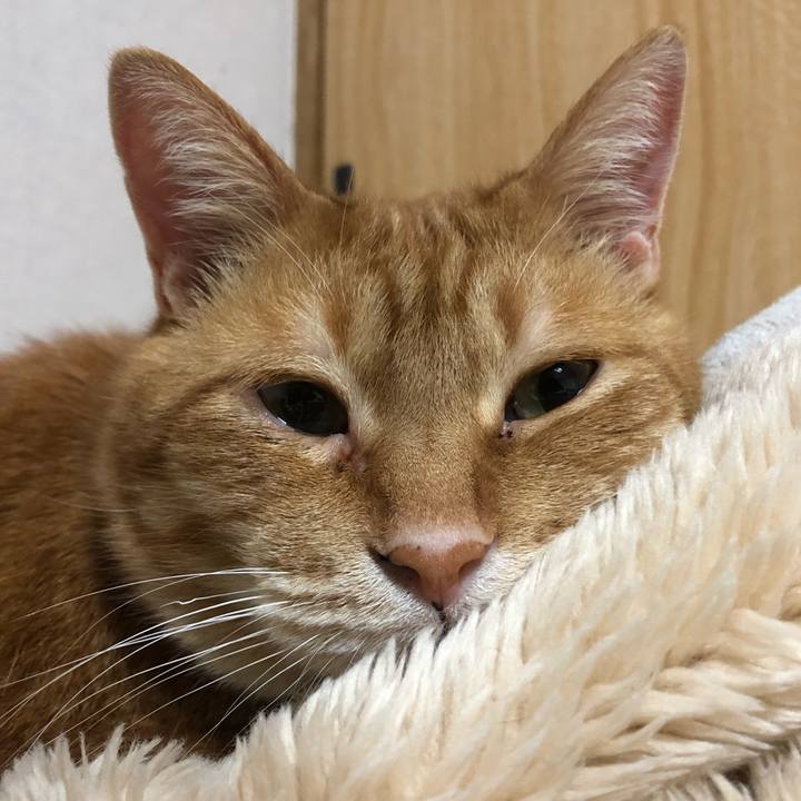 3b16d5b6 d72a 4d2a b2cf 4d71551b6f7f 1616418300713