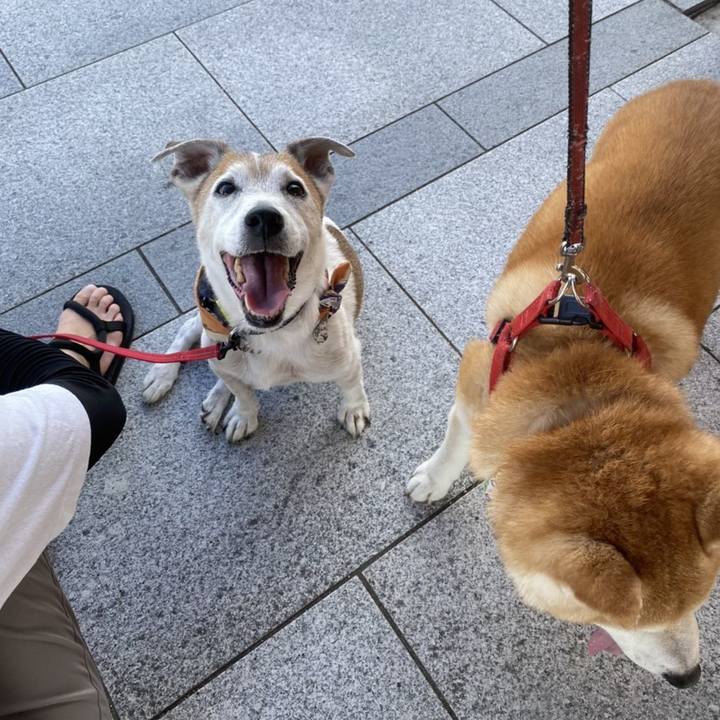 3b16ef13 ef85 4527 9bfd 264aba981223 1597059052959