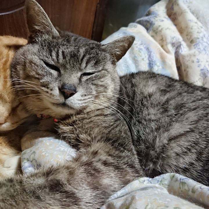 3b172b24 28f9 48c4 97af 929e49ccf18f 1588680494839