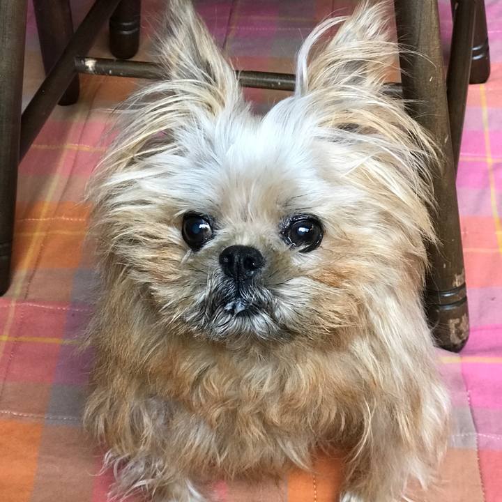 3b174496 1b4b 4e47 8e4e 280e82292995 1579052272947