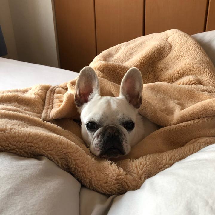 3b175107 41e4 4a61 8f6c 3d1a8aa6e099 1586347595628