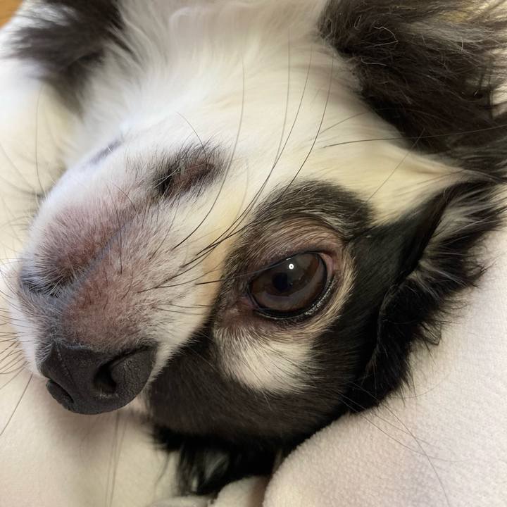 3b1765fb 8fe9 44c4 a813 ad72899e4faa 1677943284832