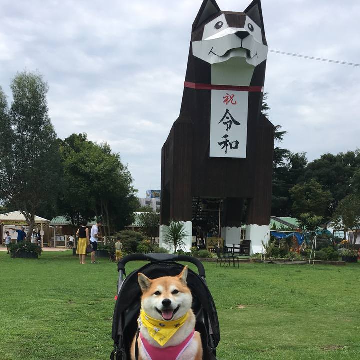 3b17a6d3 1337 4792 987b 14933a355ee7 1567336151918