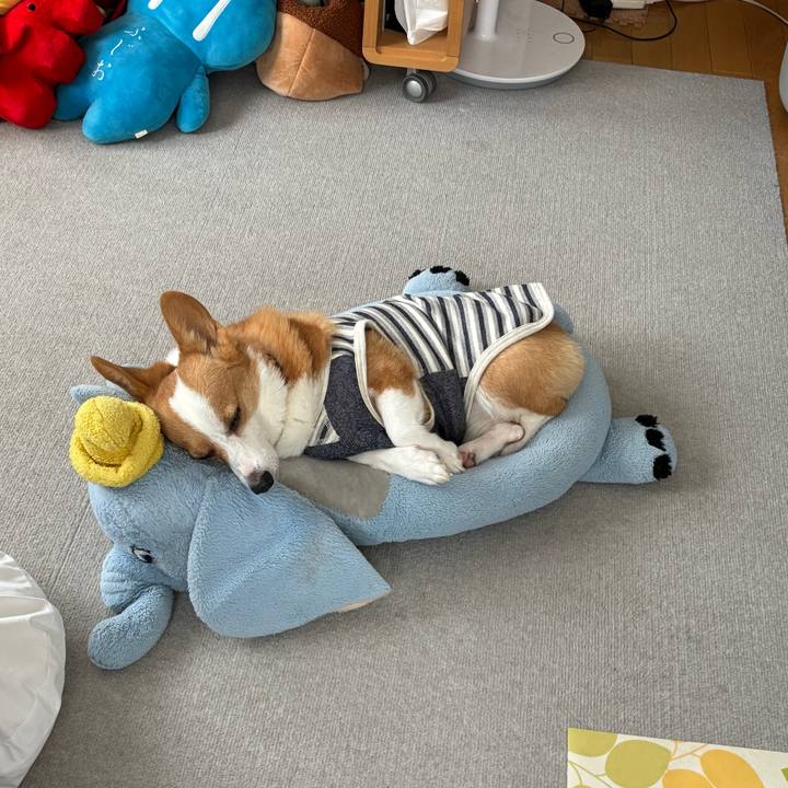 3b17af57 b558 4064 bf4d ed4e05cc3ba5 1762409527383