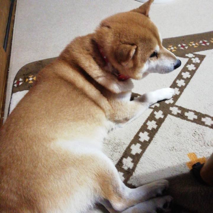 3b17c384 1042 49cf b5d6 1134c70fe1df 1634894981599