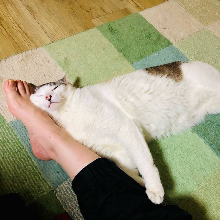 3b17cde0 e96b 4ad1 8cce e91f1078afcf 1691058727749