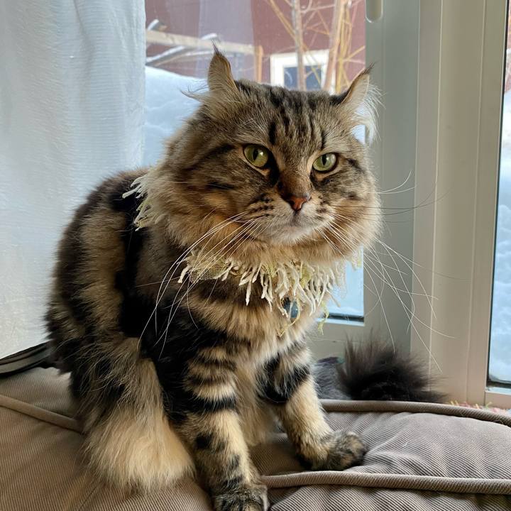 3b17d6d6 ff37 4ba0 8843 ca84633a21c7 1646299917335