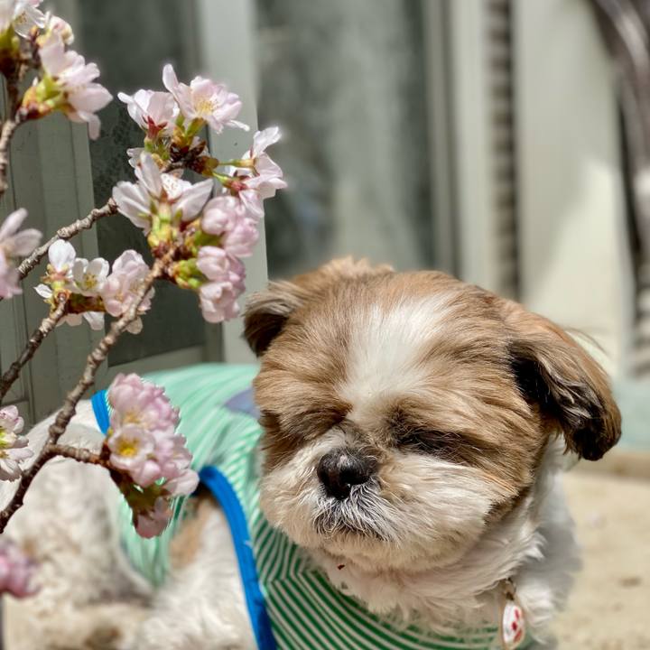 3b17d820 71e4 47eb 9615 dec71c4ca1f5 1648868312251