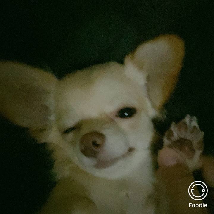 3b17f9e2 07e7 49aa 921c 2a12b2d0ee20 1602886069057