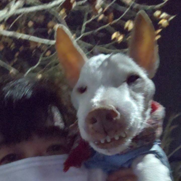 3b1810ee 302a 4205 a99f 166077820eda 1609840658708