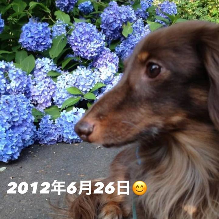 3b1814af 9f60 433e a074 db0defc5e0a4 1624687008360