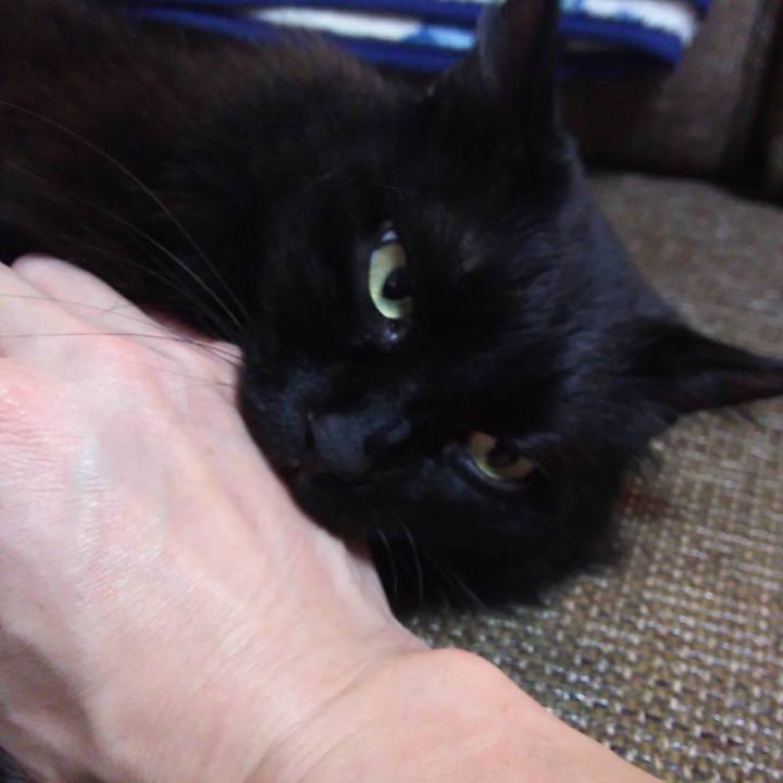 3b1848ea e44c 4530 b626 8df55f73f474 1513945789935