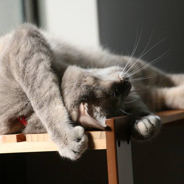 3b185c7d c143 4538 a200 4fbd58aeac06 1542181079138