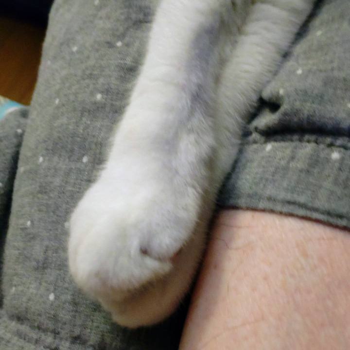 3b186726 2f5e 4a71 89be 347835438f95 1695127338214