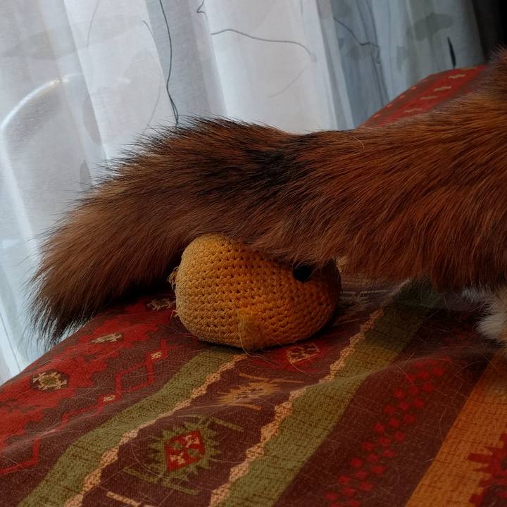 3b186c41 a960 4f04 8dca 222d98b00078 1514423689381