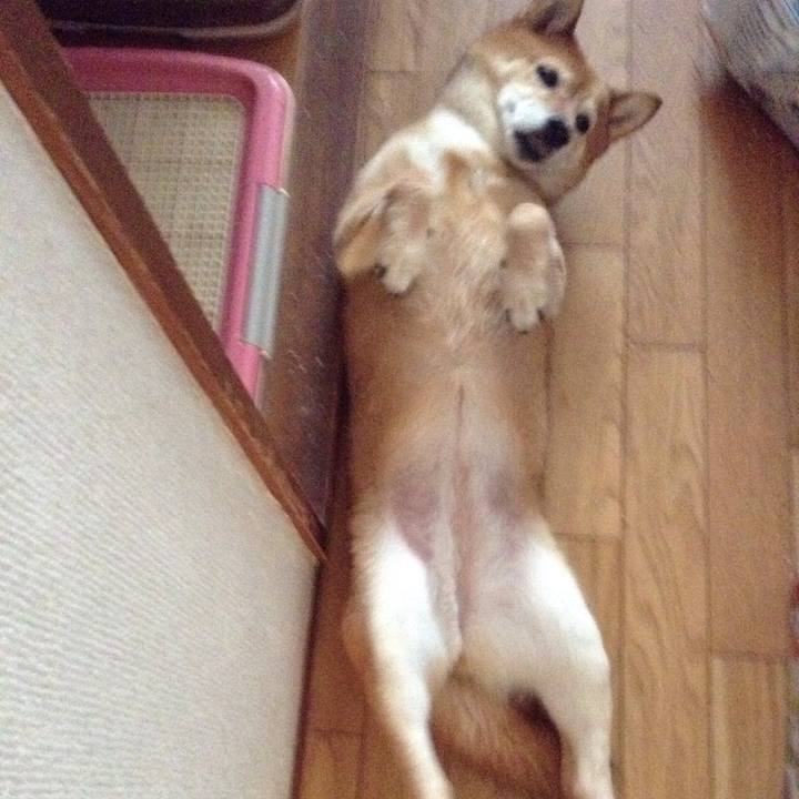 3b188fe2 7487 4f06 8882 7b7e3ef1d7e3 1530489973177