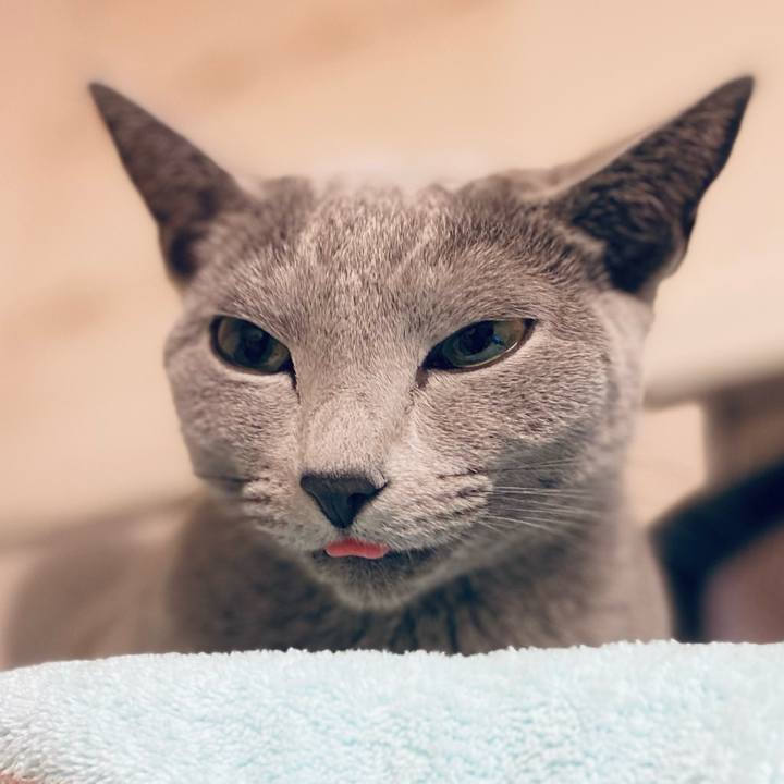 3b18a8f2 0a67 4e67 99e0 e1d46610cbdb 1639004475359