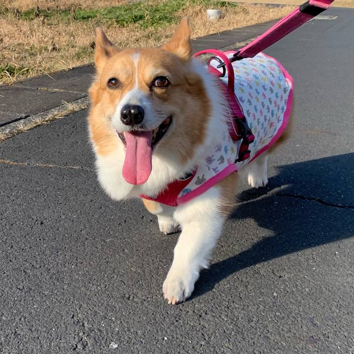 3b18aadf 19b4 42cb 866a 182d00f0aa8a 1643875855448